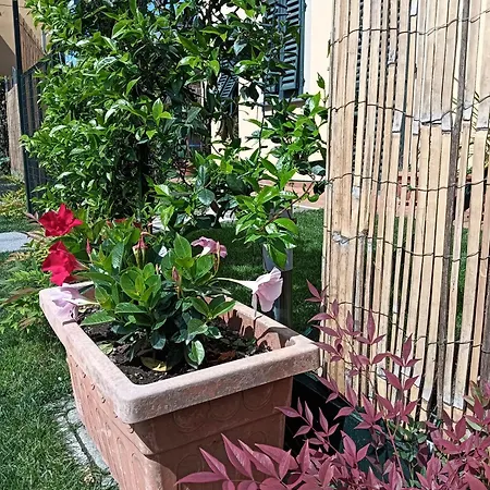 Apartament Rustico Di Corte