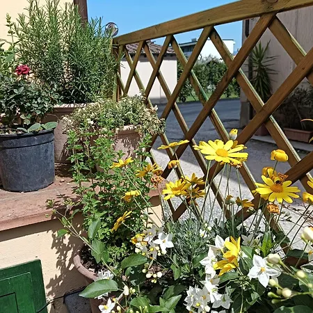 Apartament Rustico Di Corte Capannori